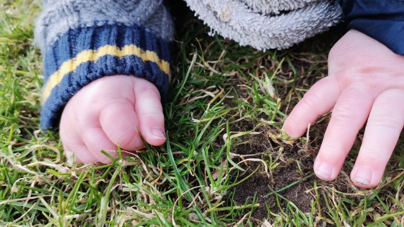 De baby ontdekt gras! 