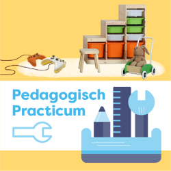 Pedagogisch Practicum: Exploratie stimuleren door de inrichting van je groep (0-4 jaar)  